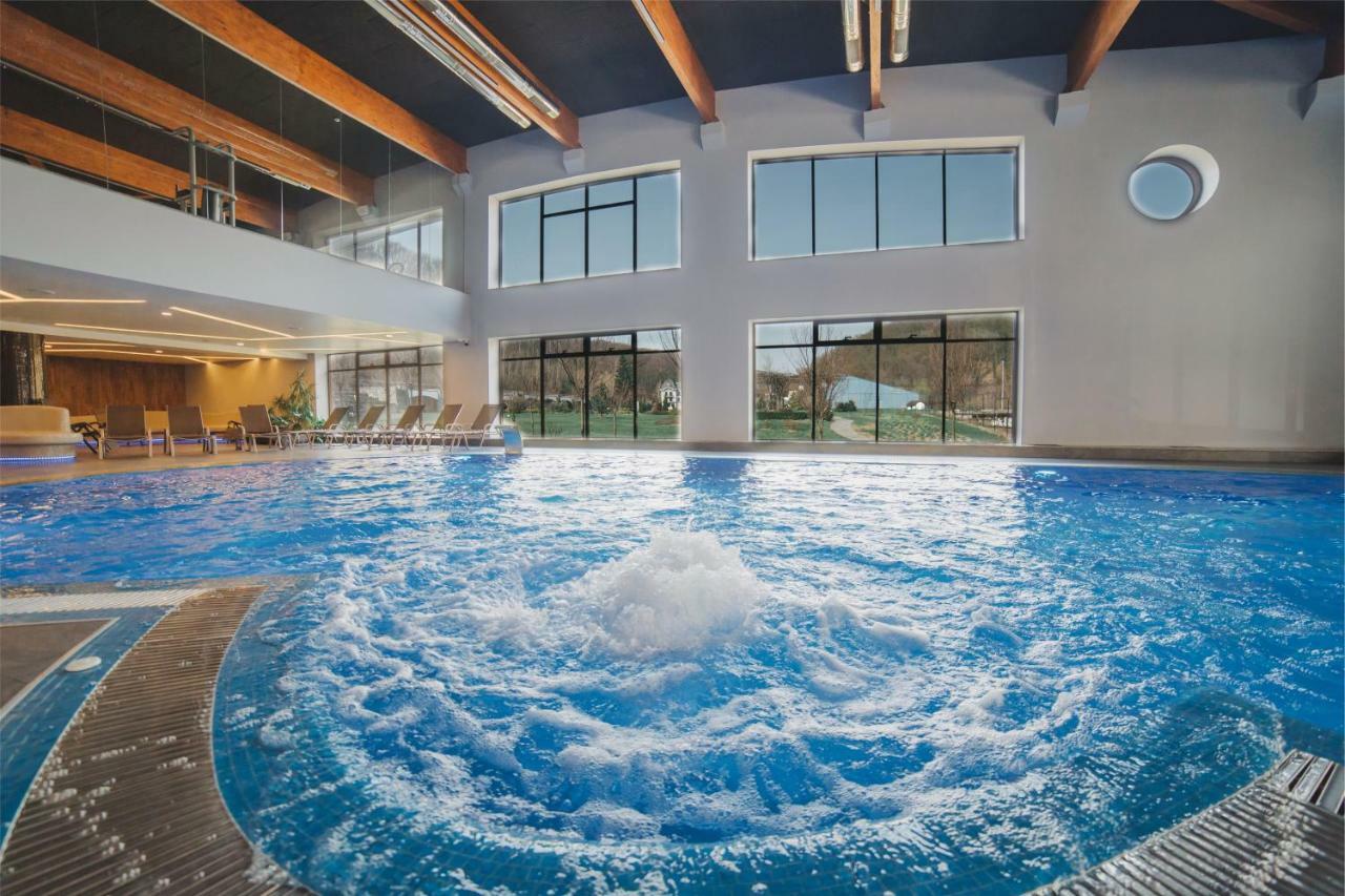 Hotel Irys By Derenivska Kupil Nyzhne Solotvyno Dış mekan fotoğraf