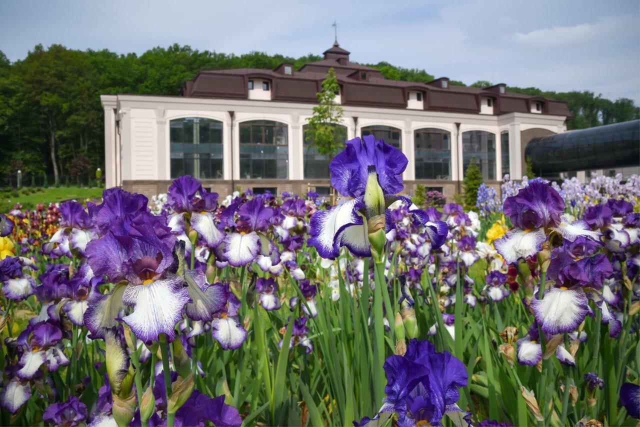 Hotel Irys By Derenivska Kupil Nyzhne Solotvyno Dış mekan fotoğraf