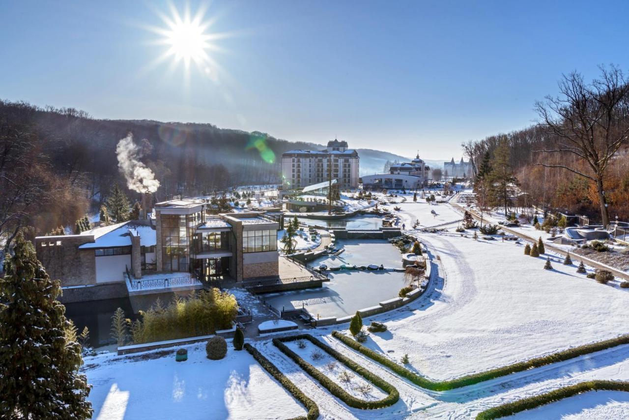 Hotel Irys By Derenivska Kupil Nyzhne Solotvyno Dış mekan fotoğraf